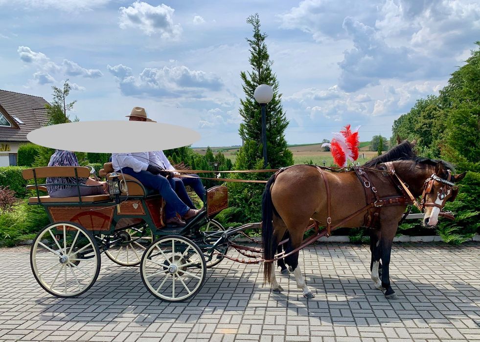 Bryczka Wagonetka – firmy ECC, model Elegant, w idealnym stanie