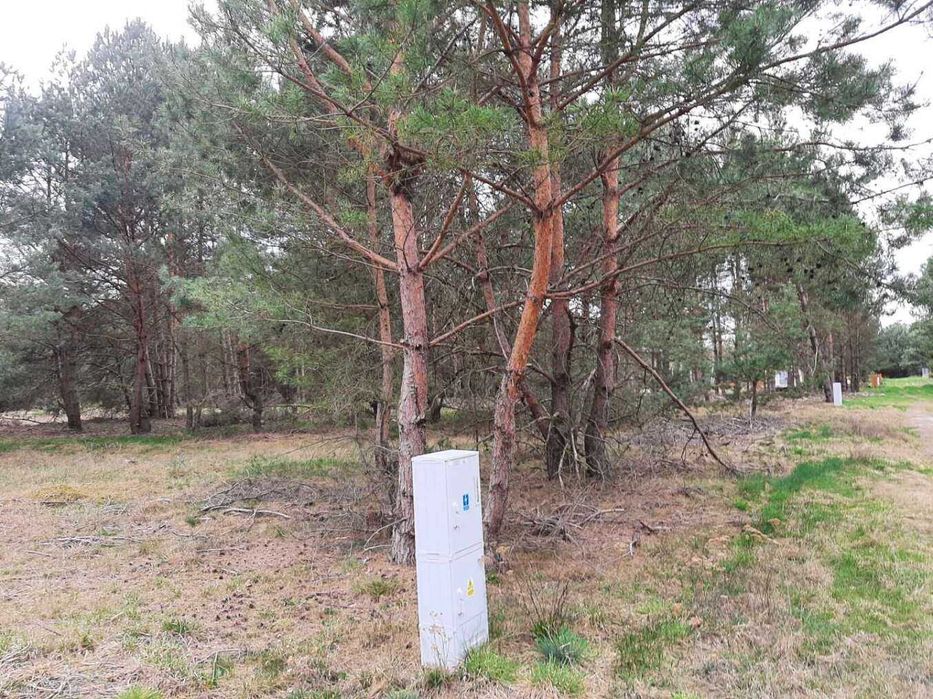 Las za płotem, jezioro 2–3 km | 1922 m² spokoju | DZIAŁKA BUDOWLANA MASZKÓW | 125 000 zł - Widok 2
