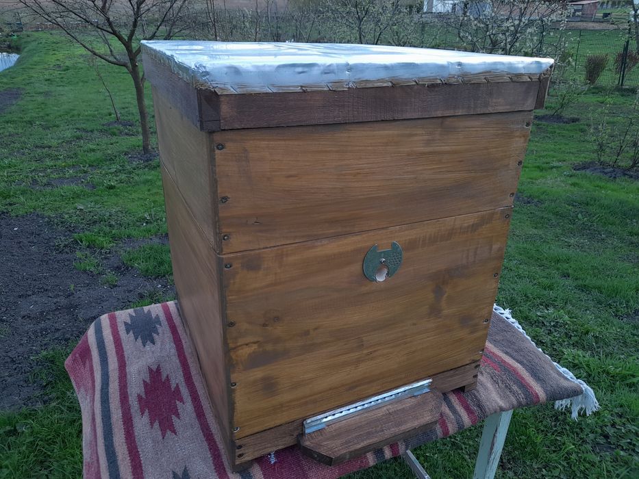 Вулики дадан копрусні