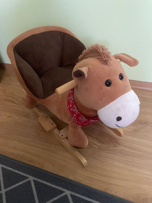 Konik na biegunach
