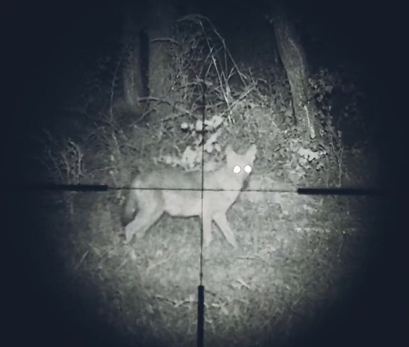 Цифровая насадка на прицел, ночного видения Megaorei 007