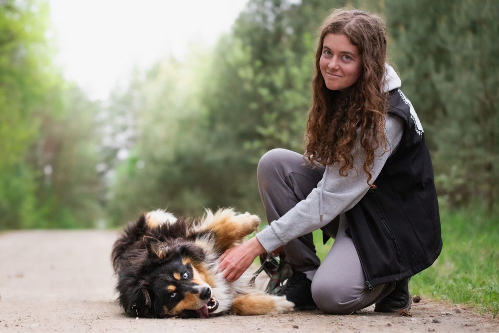 Zdecydowany duży puchaty niebieskooki Melex do adopcji