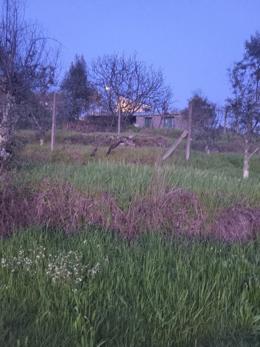 Vendo terreno para construção — Viseu, Viseu