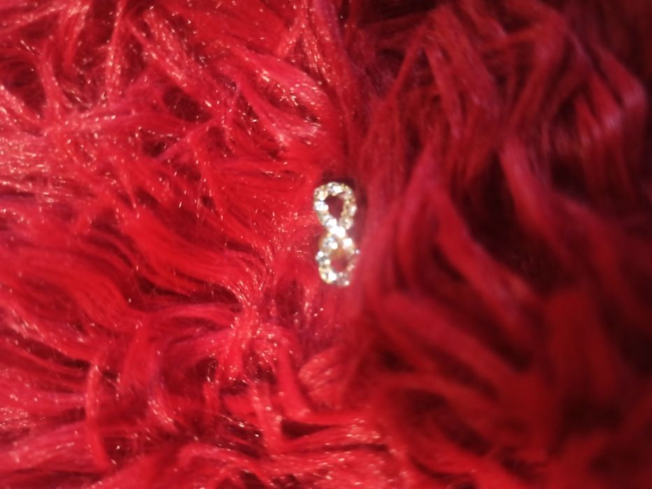 Кульчики гвоздики. Безкінечності срібло