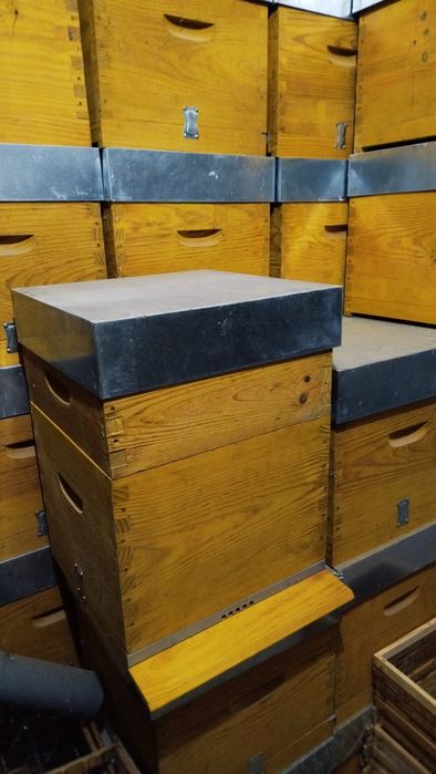 Colmeias  novas completas lusitana