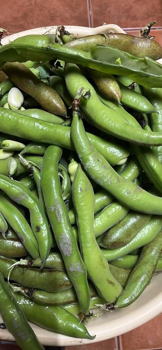 Vendo frutas e legumes