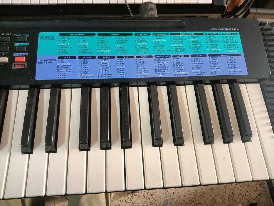 Teclado Casio CA-100 Tone Bank