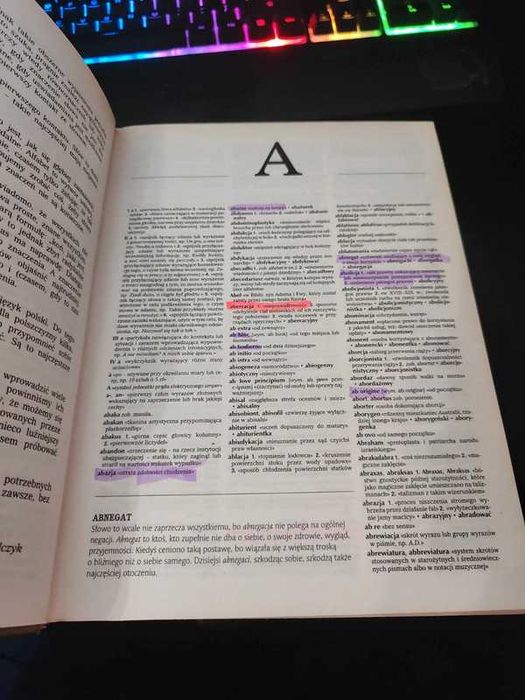 Słownik 100 tysięcy potrzebnych słów PWN Bralczyk