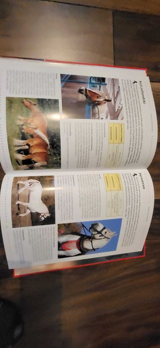 Konie. Biblioteka wiedzy.