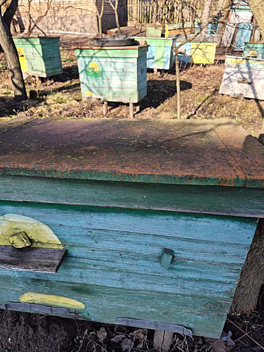 Продам комплект всього необхідного для пасіки