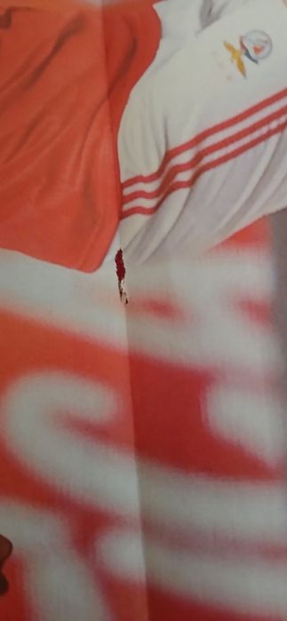 Poster António Silva  - Benfica