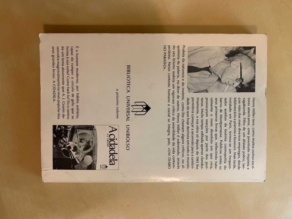 Um Diabo no Paraíso - Henry Miller