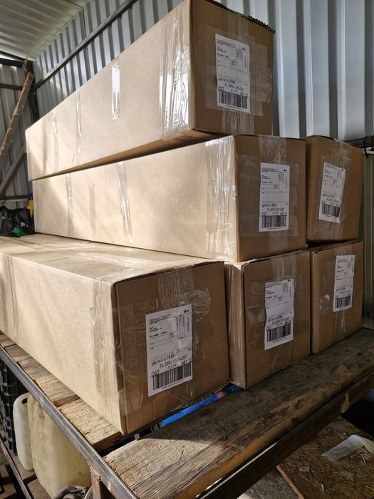 Sprzedaż drzewek owocowych