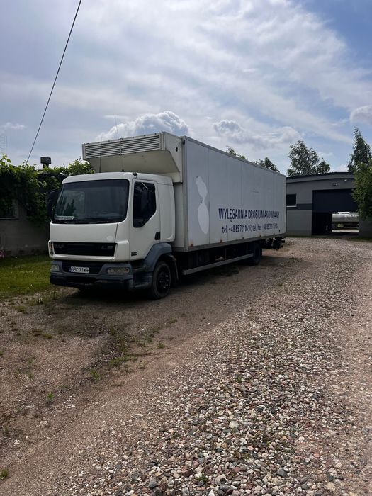 DAF LF 55.220 izoterma przewóz piskląt