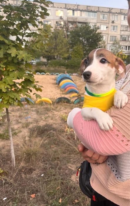 Красотка ищет маму и папу