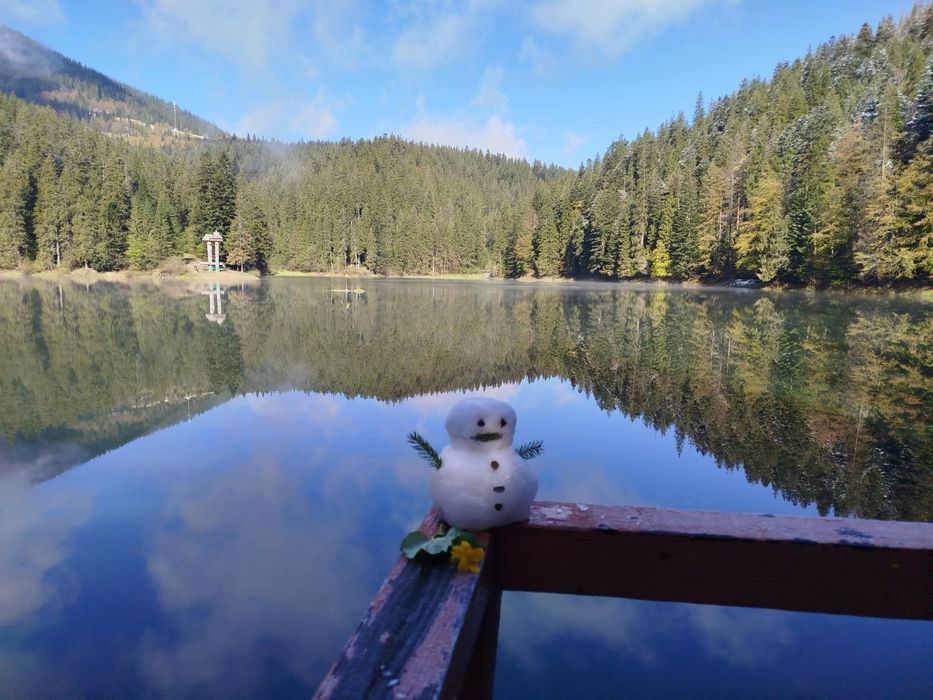 ,,Карпатський Будиночок,,