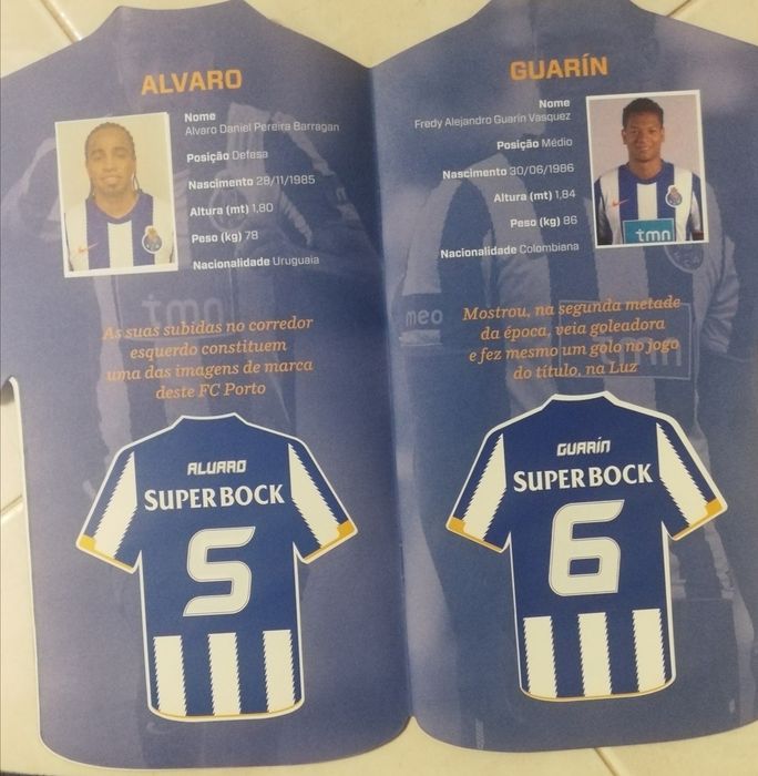 Caderneta FCPorto campeão