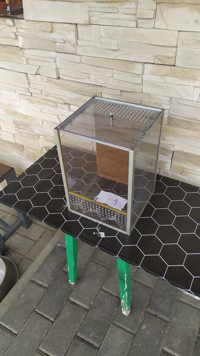 Terrarium dla modliszek i innych.