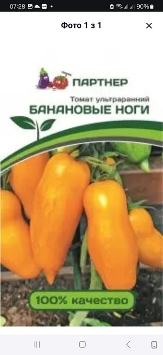 Семена коллекционных томатов