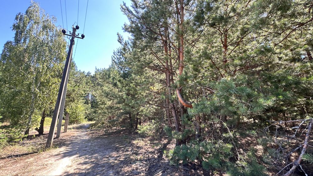 Продам земельну ділянку! Пилиповичі