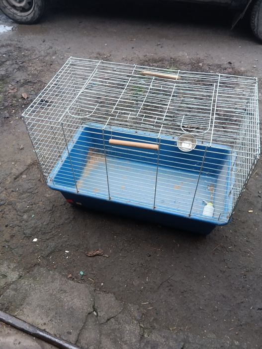 Клітка для гризунів
