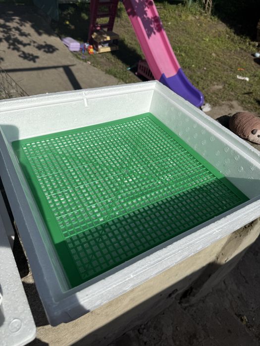 Інкубато MI-30-1 Квочка