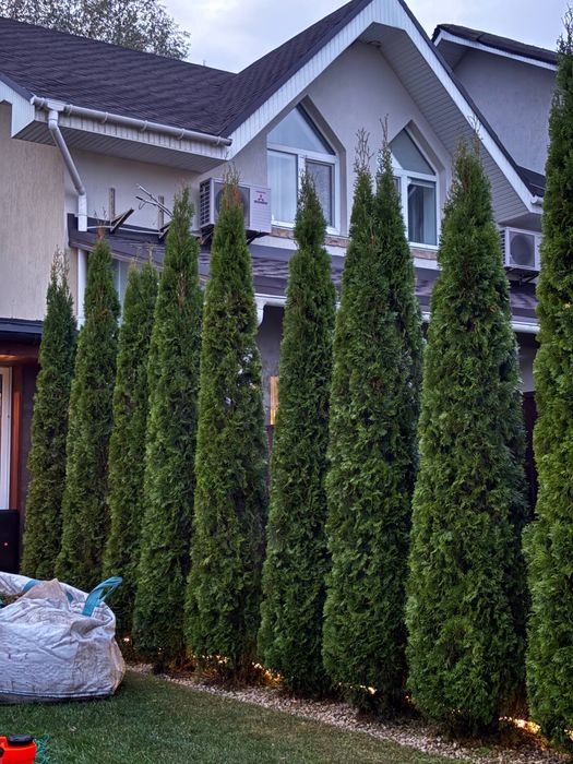 Ландшафтний дизайн,Садівник Ірпінь,Буча,Гостомель