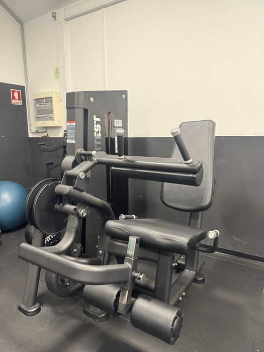 Máquina Ginásio Leg Extension/Leg Curl Dupla função - Excelente Estado