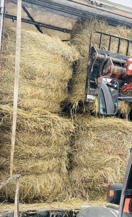 Сіно / є доставка