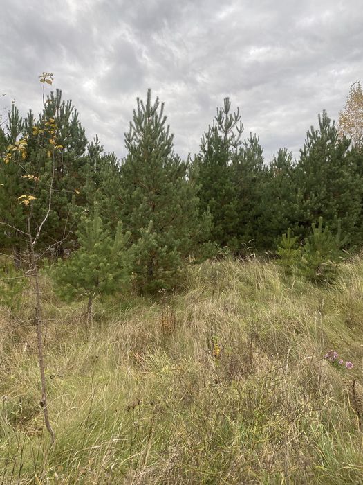 Ділянка 10 соток Іванівка поворот на будинок пристарілих