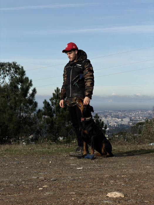 Serviço de Treino Canino - Red Guard K9