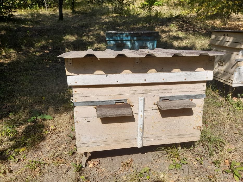 Вулик на 24 рамки