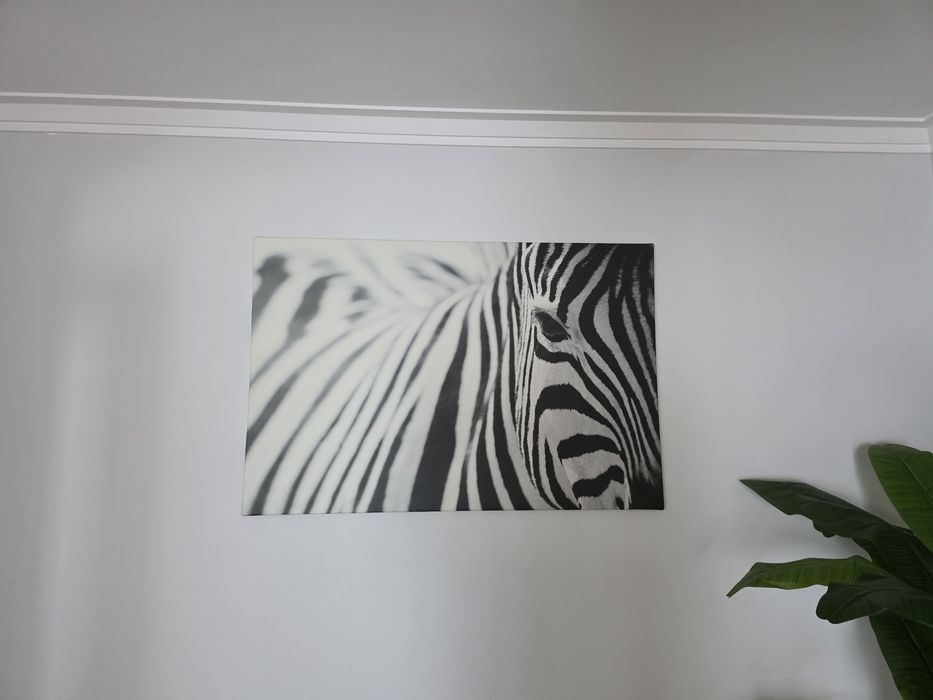 Quadro IKEA zebra