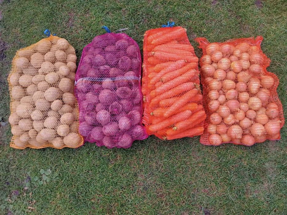Warzywa - ziemniaki / marchew / buraki / cebula