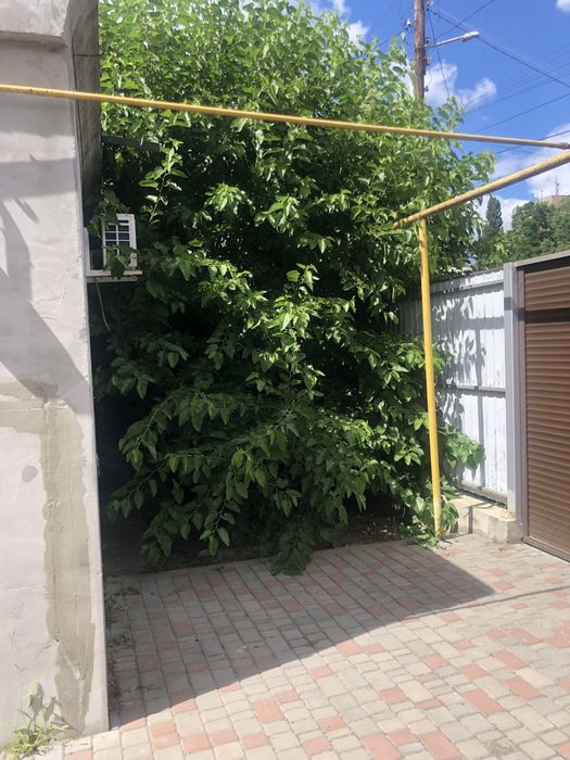 Сдам дом посуточно