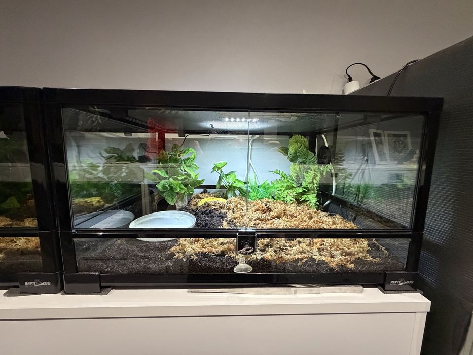 Repti Zoo terrarium