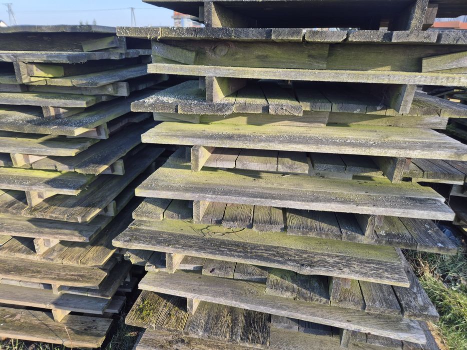 Palety hodowla ślimaków paśniki