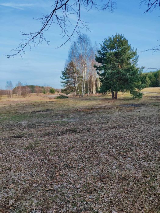 Działka Wola Raniżowska