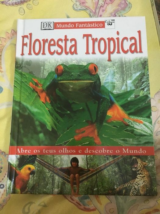 Floresta tropical, baleias e golfinhos, terra, mamíferos
