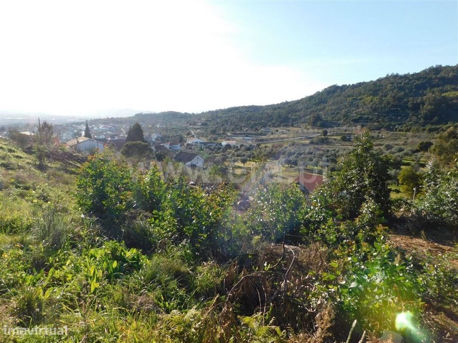 Terreno / Fundão, Pêro Viseu — Pêro Viseu, Castelo Branco