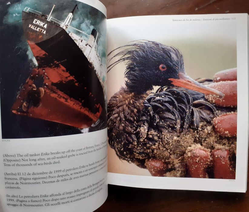 Fotografia 1980s 1990s