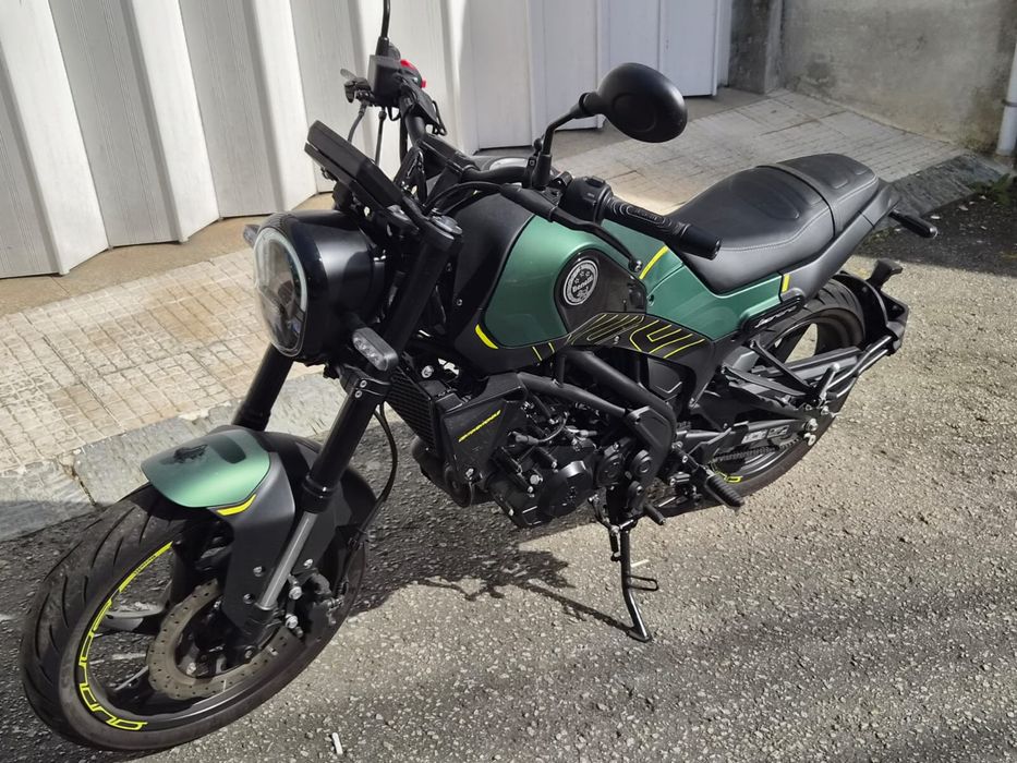 Beneli leoncino 123