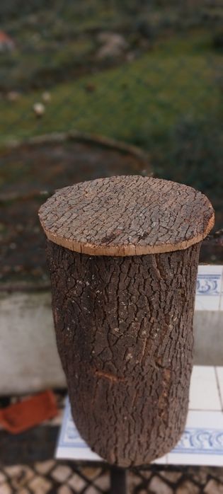 Cortiços Artesanais para Abelhas ou Decoração