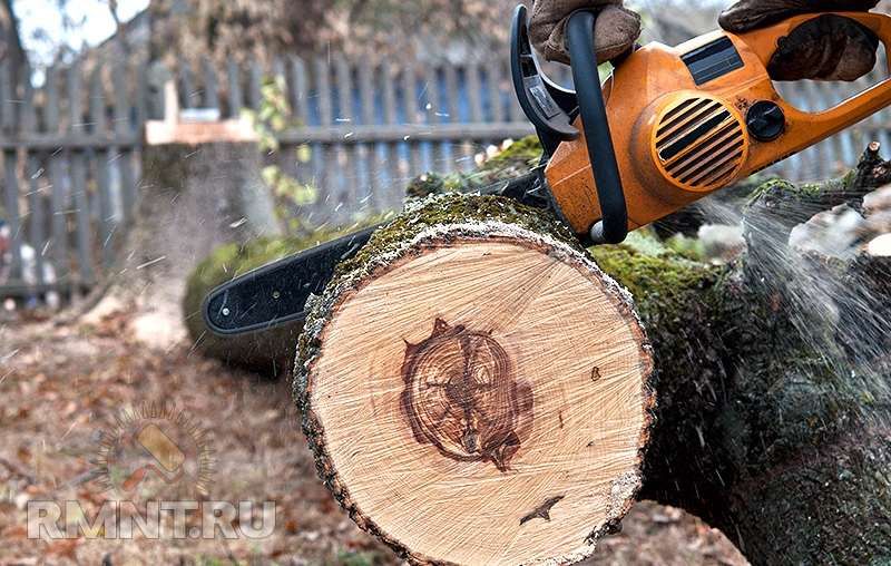 Спил деревьев любой сложности.