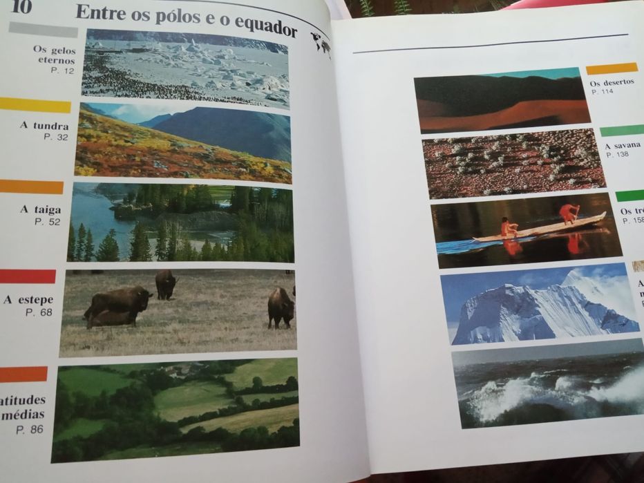 Esta Terra Magnífica