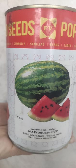 Насіння Кавуна АУ Продюсер