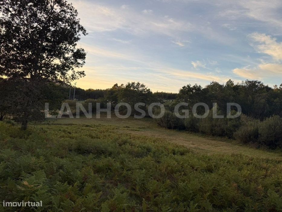 Terreno Agrícola com quase 8.000 m² em Batocas, Serzedelo - Póvoa d...
