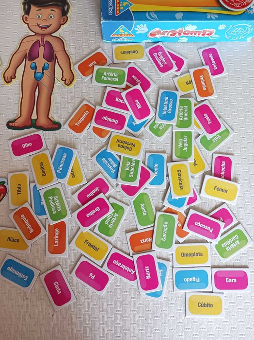 Jogo didático Anatomia