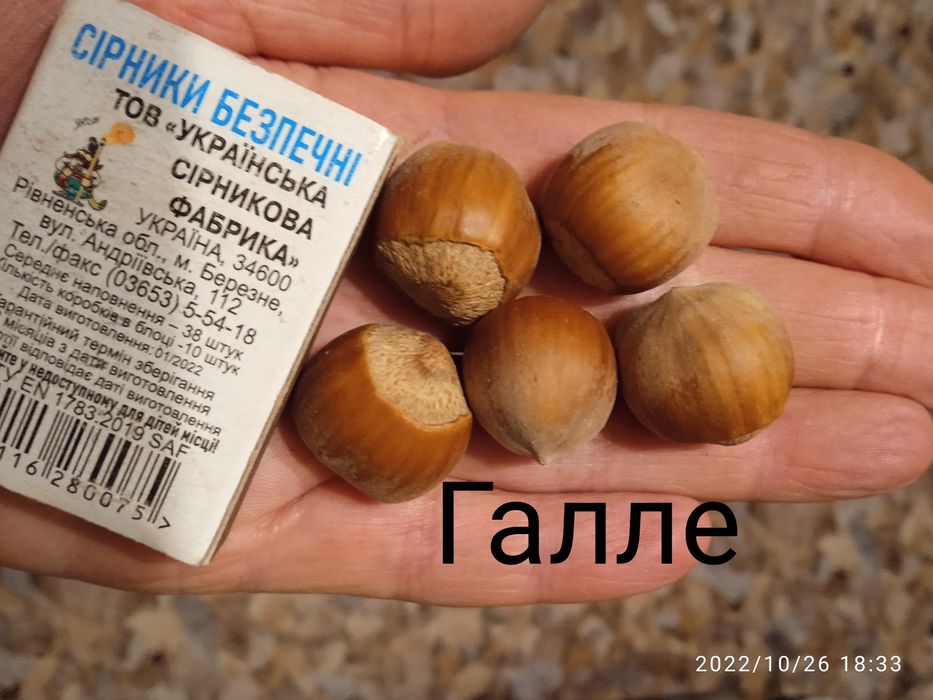 Айва Кизил Фундук Волоський