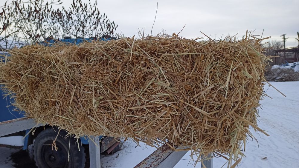 Продам тюки соломы